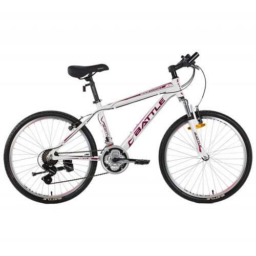 GATEGOLD 450-24IN / GG-450 24INOUTDOOR SPORTS BIKE - Deluxe.com.ng