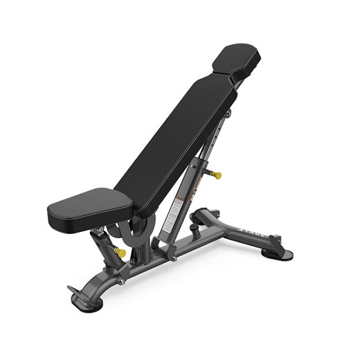 SOLE FITNESS MULTI-ANGLE AB UTILITY BENCH (SFI-100) - deluxe.com.ng