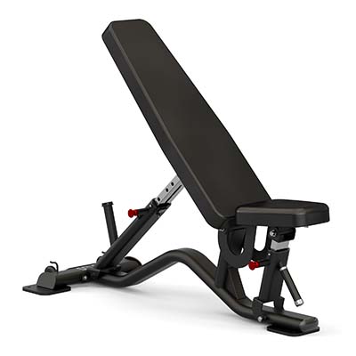 SOLE FITNESS MULTI-ANGLE AB UTILITY BENCH (SFI-100) - deluxe.com.ng