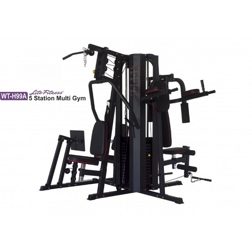 WT-H99A 5 STATION MULTI GYM - Deluxe.com.ng