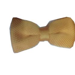 FANCY BOW TIE