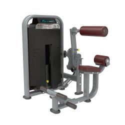 TECHNO FITNESS DFT1695 Commercial Abdominal Crunch & Back Extension Machine - deluxe.com.ng