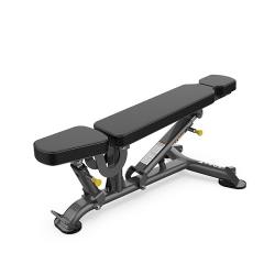 SOLE FITNESS MULTI-ANGLE AB UTILITY BENCH (SFI-100) - deluxe.com.ng