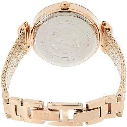 ANNE KLEIN AK/1906RGRG WOMEN’S PREMIUM CRYSTAL ACCENTED MESH BRACELET SMALL WATCH 