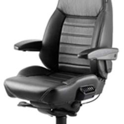 Ergonomic Executive Chair (ACS)