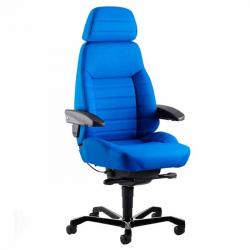 Ergonomic Executive Chair (ACS)