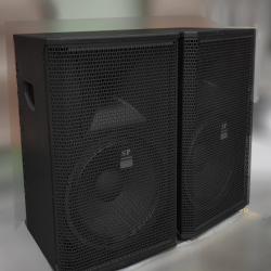 Sound Prince Loudspeaker | SP116 Passive  (pair) - Deluxe.com.ng